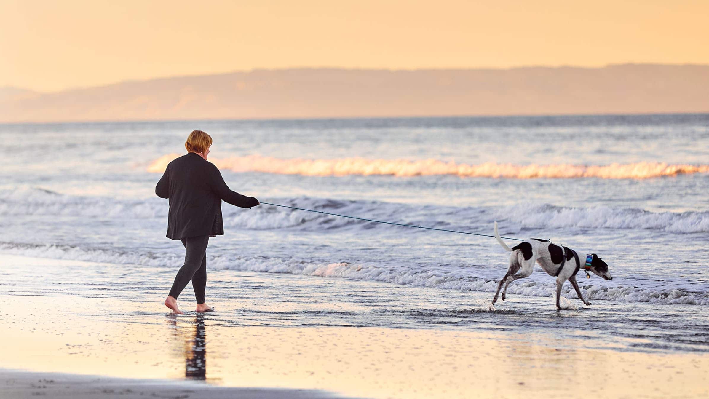 Founder of The Balanced Dog, Kathleen Crisley, walks along a beach with their dog.